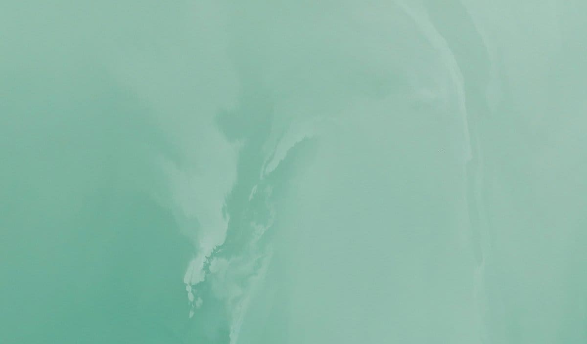 Introducing the New Color of the Season: Silky Sage